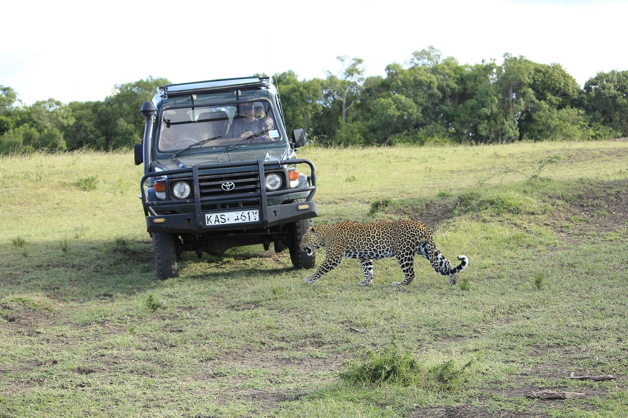 Game Drives in Maasai Mara